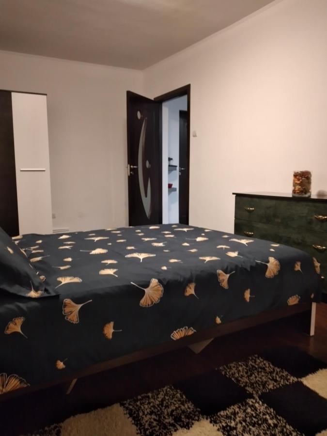 Appartamento Zorilor Imob